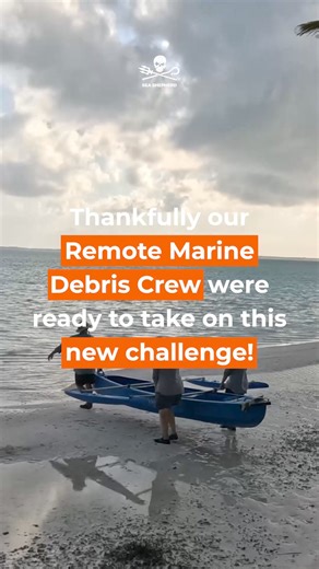 103K views · 3.8K reactions | Cocos Trash Bash: Protecting Paradise,...