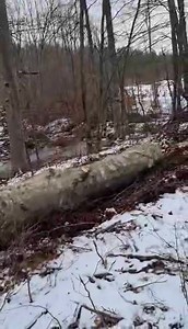 190K views · 2.2K reactions | šalje "Cakan" d.o.o. Bratunac | Traktori BIH- | Facebook