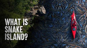 Essential tips for surviving Snake Island safely