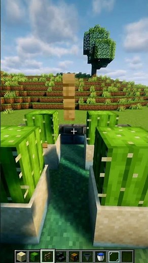“INSANE Auto Cactus Farm in Minecraft 😱 Unlimited XP + Money!” #minecraft