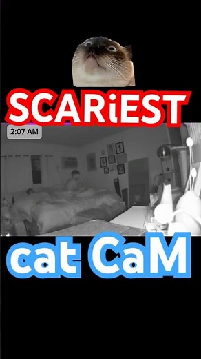 Talking cat caught on camera (#Bagagwa is summoned) #happyhalloween #halloween #ghost #spooky #short