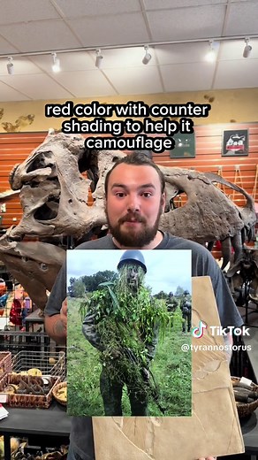 Discovering the True Colors of Dinosaurs: A Fascinating Journey into Prehistoric Pigment Cells