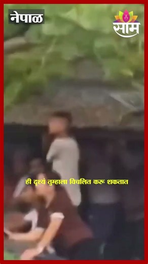 नेपाळमध्ये महापुराचा हाहाकार! नदीच्या रौद्र प्रवाहात पूल झुलताना दिसला; VIDEO व्हायरल | Nepal Flood