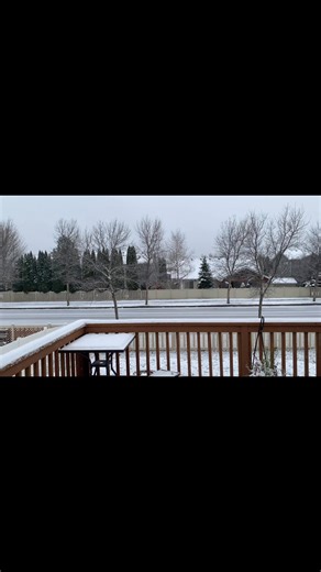 New snow this morning | Mary Burke