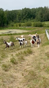 This view never gets old ❤️ | Twisted Pine Paints