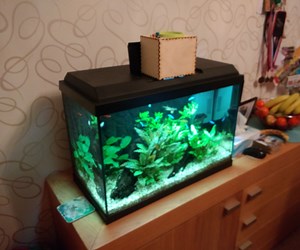 Fish Feeder Smart Object