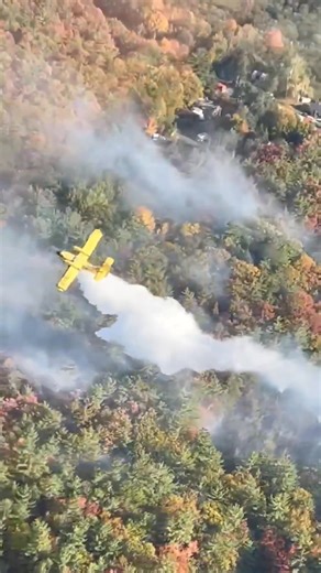 Video courtesy of @truenorthhelicorp of the fire Gravenhurst Fire Department crews with mutual aid assistance from Ramara Fire & Rescue Services and Severn Fire on scene of a large wildland fire on the north side of Beiers Road. | At the Scene Photography