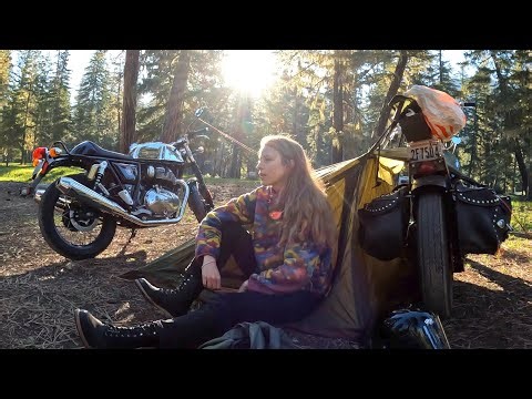 A Relaxing Camp in the Woods