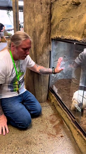 13M views · 407K reactions | Meet Brillo The Armadillo, when I was hanging out with Brian Barczyk The Reptarium #armadillo #tank #animallover | Ed The Pond Professor | Facebook