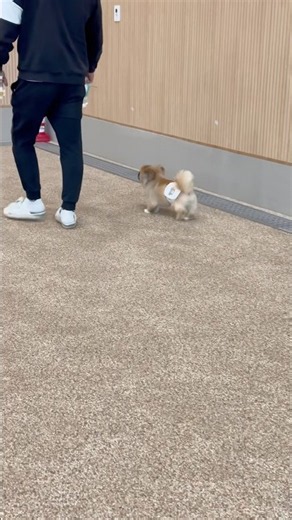 아빠 어디가