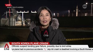 109K views · 960 reactions | The deadly Jeju Air plane crash at South Korea's Muan International Airport could have been caused by a bird strike. CNA's Lim Yun Suk goes through the events of the crash, as well as the next steps for Acting President Choi Sang-mok and the government in the wake of the incident. https://cna.asia/4guT6Og | CNA | Facebook