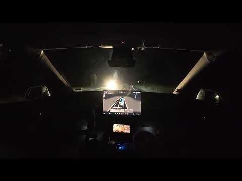 Tesla FSD Night Drive