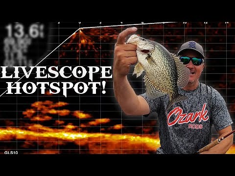 Crappie Brushpiles with LIVESCOPE
