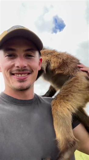 Orphaned baby baboons 🥰🥹😂 #animals #animalshorts #wildlife #cute