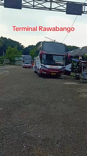 Bus HIBA PUTRA yang ini melayani jalur Jogja dan wilayah JATENG. #bus #busmania #pohiba