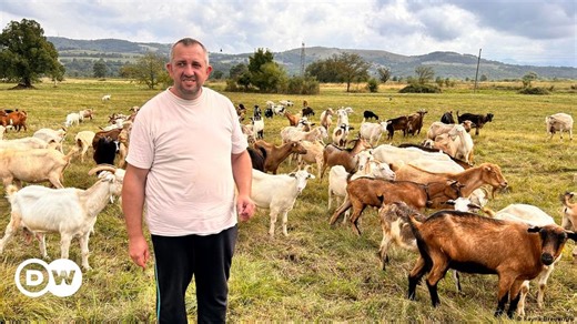 On the trail of an ancient superfood: Bulgarian yogurt