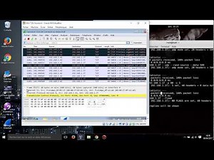 LABS 11 UDP and TCP Packet Crafting Techniques using HPING3 REVIEW