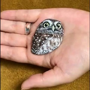 1.7K views · 80 reactions |  wow this stone art looks so real. I thought it was a cute baby owl  - @akie_2525 | Hofftons | Facebook