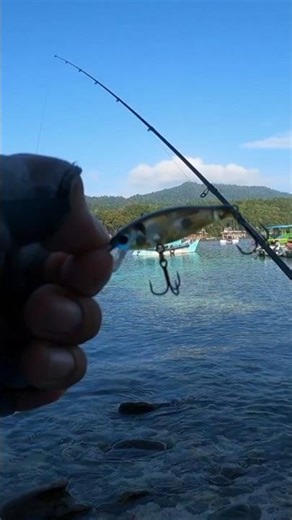 Small minnow fishing size on the seashore