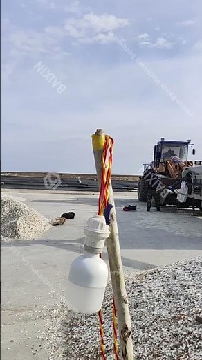 Pumpkin seed production line/Pumpkin seed drying/Seed processing #food #machine