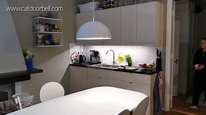 22K views · 232 reactions |  Eine Türklingel für Katze :) Praktisch,...