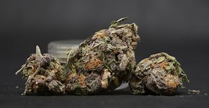 Purple Ice | Marijuana Strain Reviews