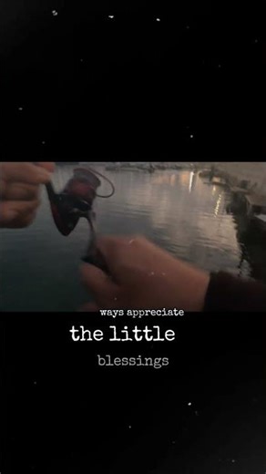 blue runner fish on malta fishing