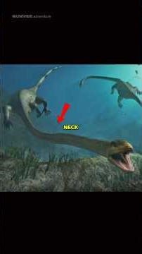 This creature's neck was longer than its whole body 😳