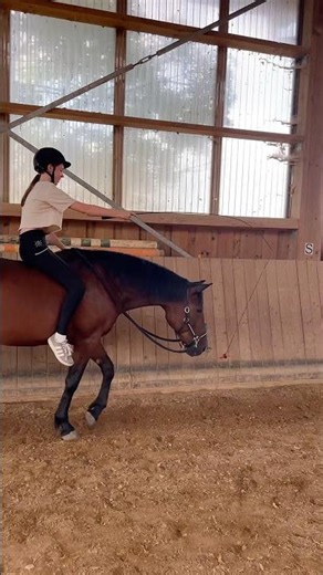 Here fishie fishie 🤪🐠😂 #foryou #fyp #viralshort #horse #equestrian #fishing #funny #funnyshorts
