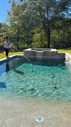  Leaf & Debris Control Fall leaves are beautiful just not when they’re in your pool!  Regular skimming keeps your water clean, prevents clogged filters, and protects your pool’s surface from stains. ✨ Keep your pool in top shape all season long with regular fall maintenance from Pool Rx! We’ll make sure your pool stays clean, clear, and ready for next spring! | Pool Rx :: Carrollton, GA | Facebook