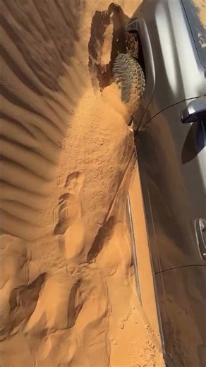 Toyota 4Runner Crawl Control vs Deep Sand