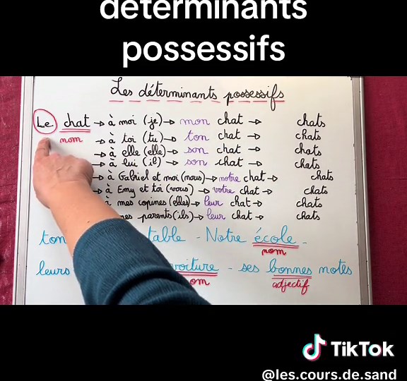 Comprendre les déterminants possessifs en CE2