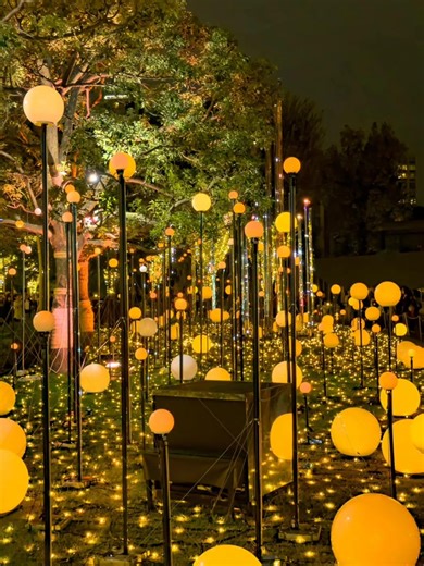 Cultural Tourism Light Show #Hengyang #Luminous Beauty Installation #Night Tour Lighting #Scenic Spot Beauty Brightening #Outdoor Engineering Brightening
