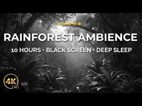 10 Hours of Rainforest Ambience 🌧️🌿 | Black Screen Jungle Sounds for Deep Sleep & Relaxation