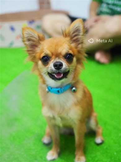 TechNova CodeCrafter on Reels