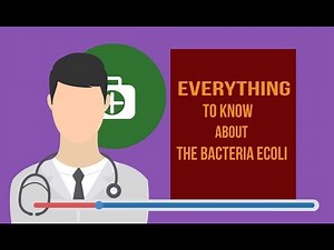 E. Coli Symptoms - Everything To Know About The Bacteria E. Coli