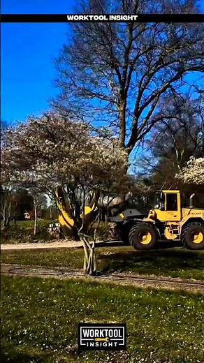 smart worktool to relocate tree with roots safely