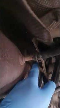 Transit custom dpf blockage part 1 - engine service now /engin management light. easy fix £13
