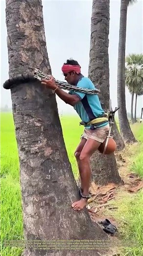 Slipping the Knot: Why a Rope and a Lean Beat a Ladder Every Time