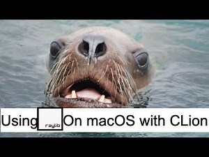 How to use raylib on macOS using CLion