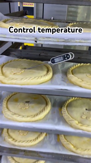 Control temperature 🥧 #foodfactory