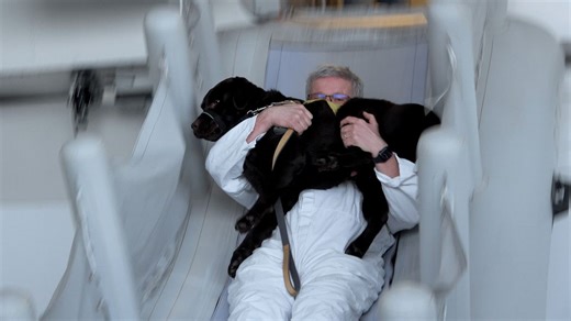 Panika v letadle i evakuační skluzavka. Natočili jsme, jak se cvičí asistenční psi na letišti - Novinky