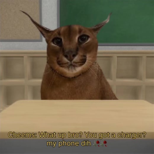 Funny Phone Charger Skit