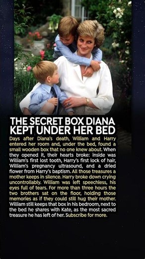 The Secret Box Diana Kept Under Her Bed
