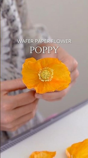 Wafer Paper Poppy Tutorial - At #ekatsclub