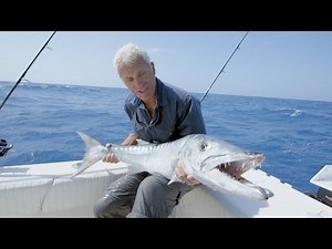 A Barracuda Big Enough to Smash Your Ribs Open