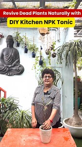 Revive Dead Plants Naturally with DIY Kitchen NPK Tonic Did you know you can bring your dying plants back to life using simple ingredients from your kitchen? This natural DIY NPK fertilizer works like magic for weak or dead-looking plants. Here’s the process: 1️⃣ Take 3 spoons of rice and soak them in 1 liter of water. 2️⃣ Add 1 spoon of baking soda (meetha soda) and keep it in a shaded place for 12 hours. 3️⃣ After 12 hours, mix in 1 spoon of vinegar. 4️⃣ Spray this solution on your plants and 