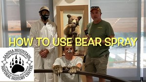 12 reactions | Bear spray is an important tool in bear country, but it can be dangerous as well. In this video the folks at Sandia Mountain Natural History Center will explore how and how not to use bear spray. Special thanks to our bear Toby and sprayer Michael. For more information on the Sandia Mountain Natural History Center: nmnaturalhistory.org/smnhc | New Mexico Museum of Natural History & Science | Facebook