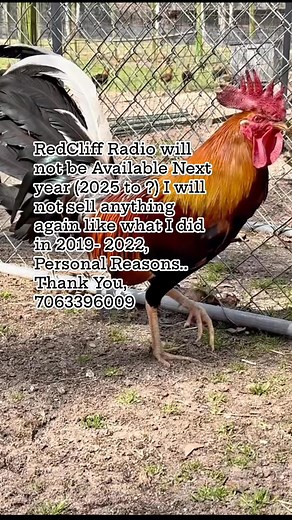 58K views · 942 reactions | I’ll Lock them Down Again  | Dre RedCliff | Facebook