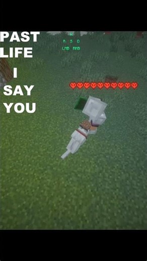 At least I got to say goodbye... 🫡 #MinecraftSad #GamerMoments #nobatidao